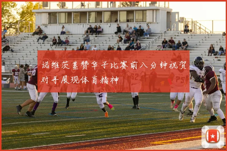 诺维茨基赞华子比赛前八分钟祝贺对手展现体育精神