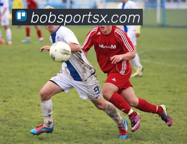 App Interface Preview